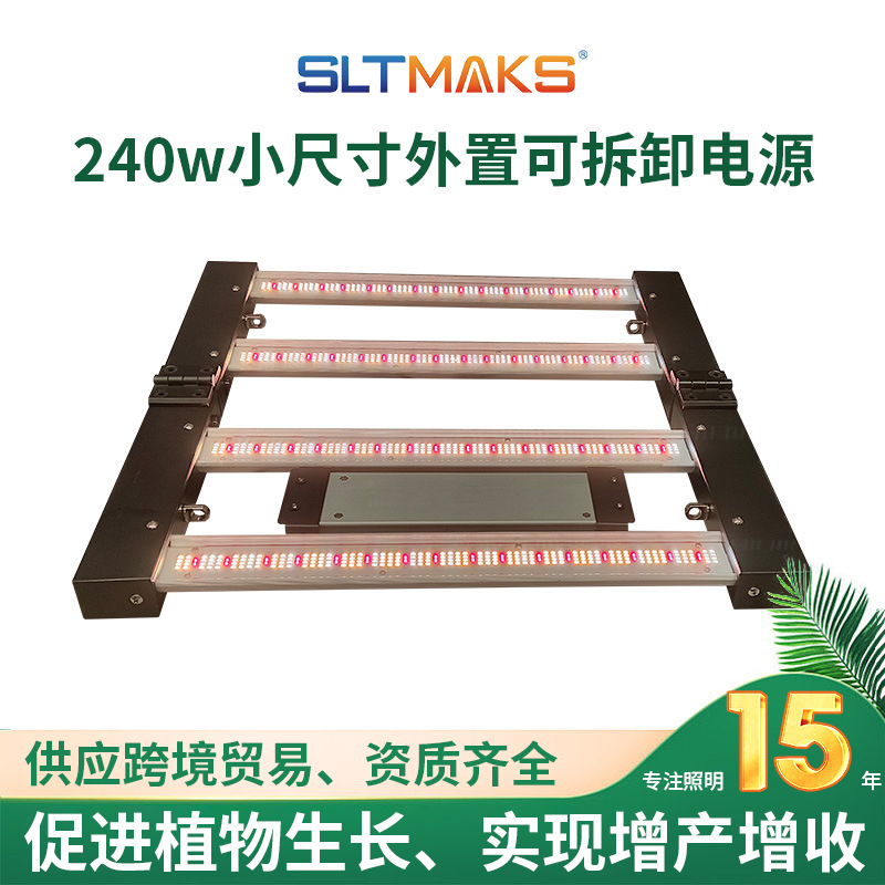 阳江植物灯